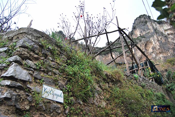 via campola.JPG